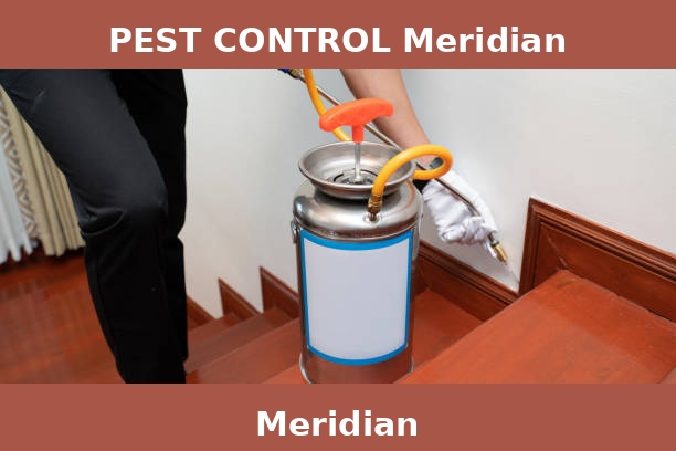 PEST CONTROL Meridian